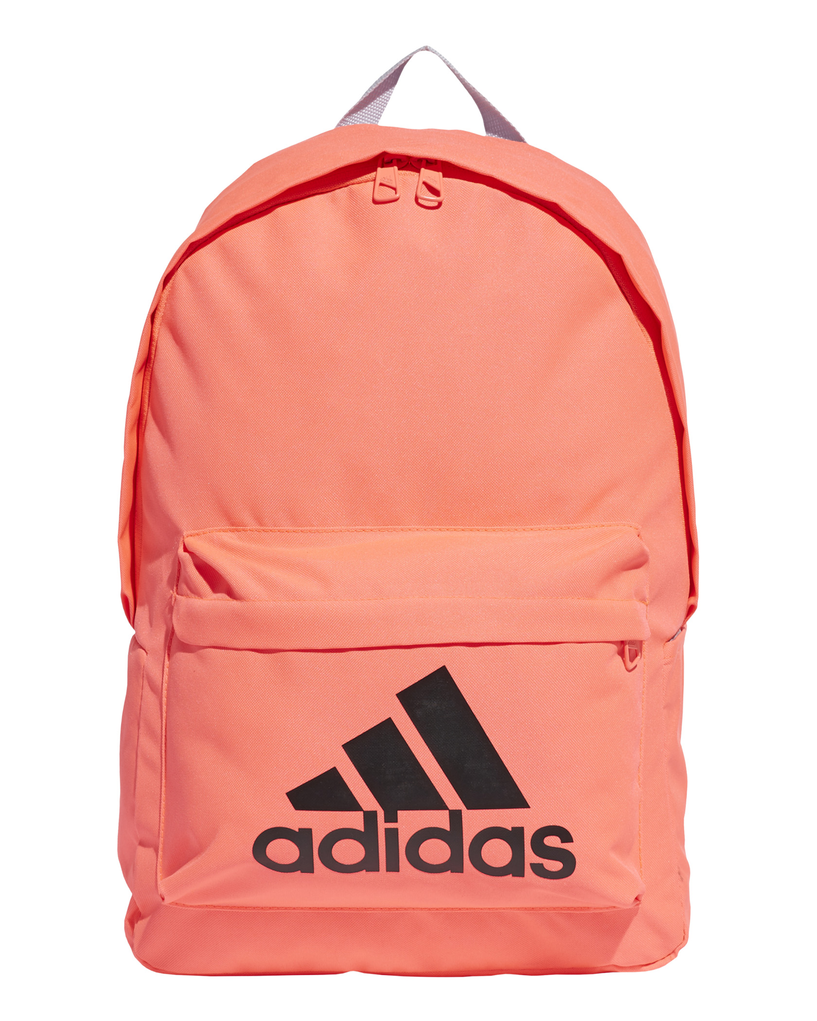 Classic big 2024 logo backpack