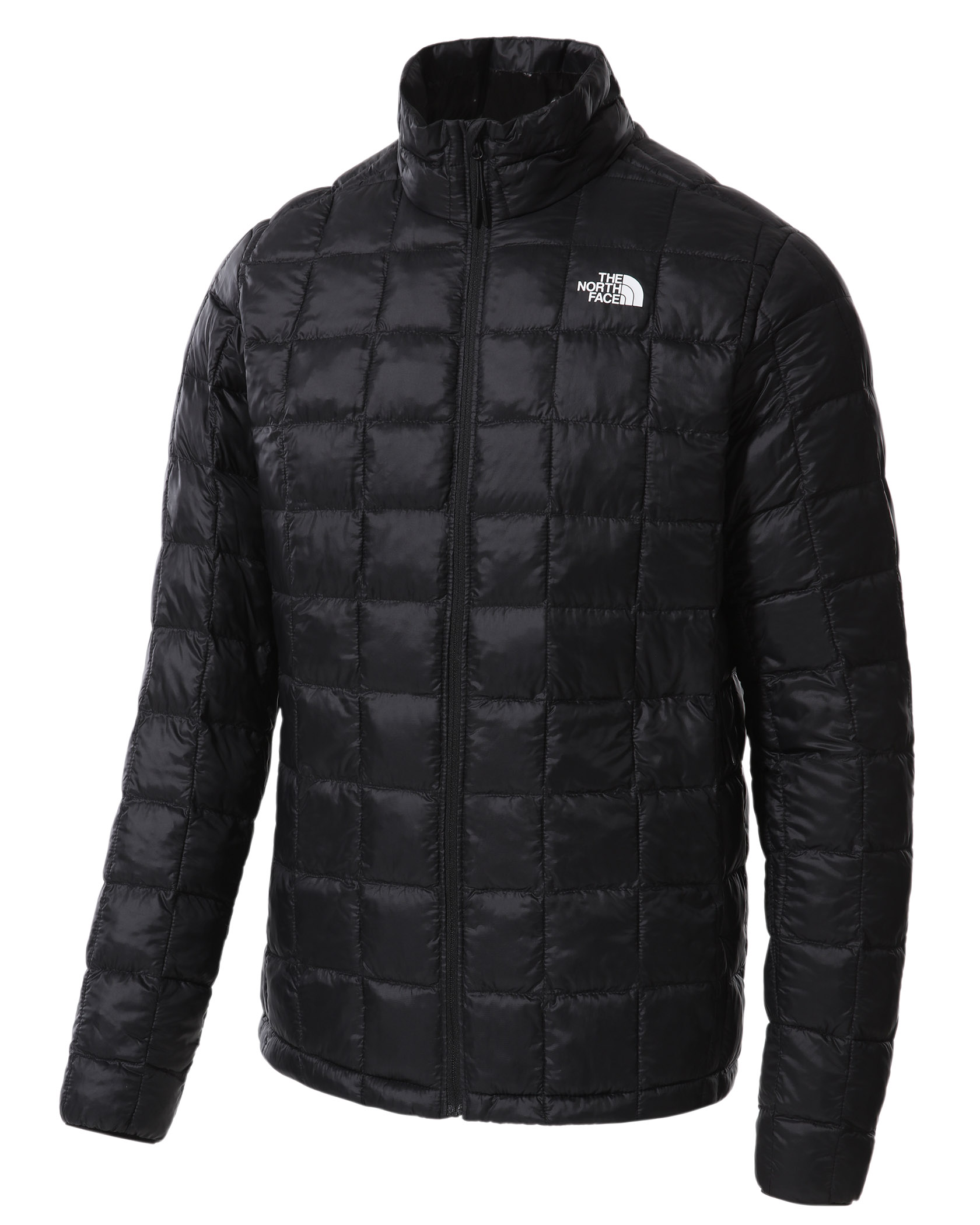 The north face thermoball eco best sale jacket with hood in black