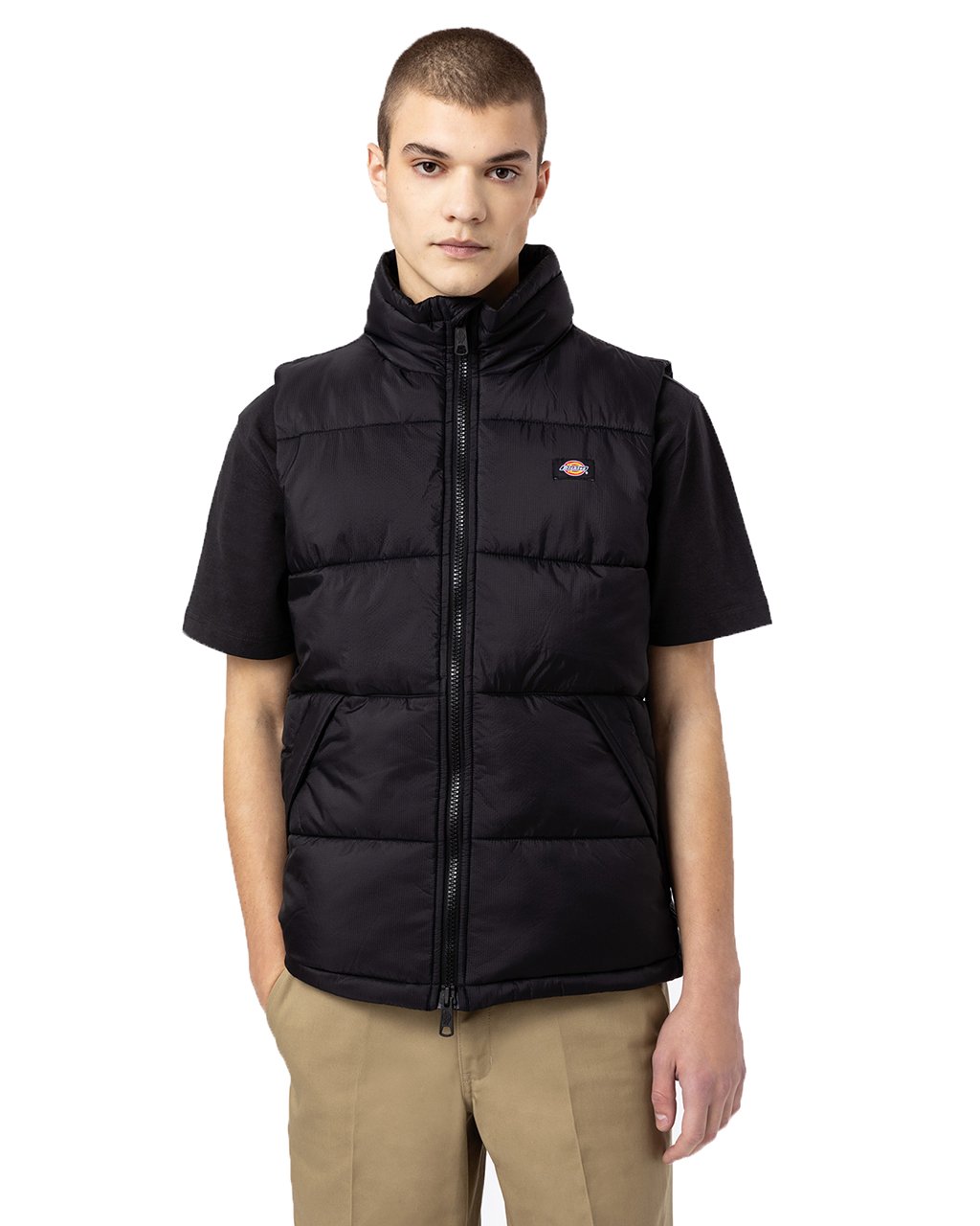 Dickies Waldenburh Vest M Black (XS XS)