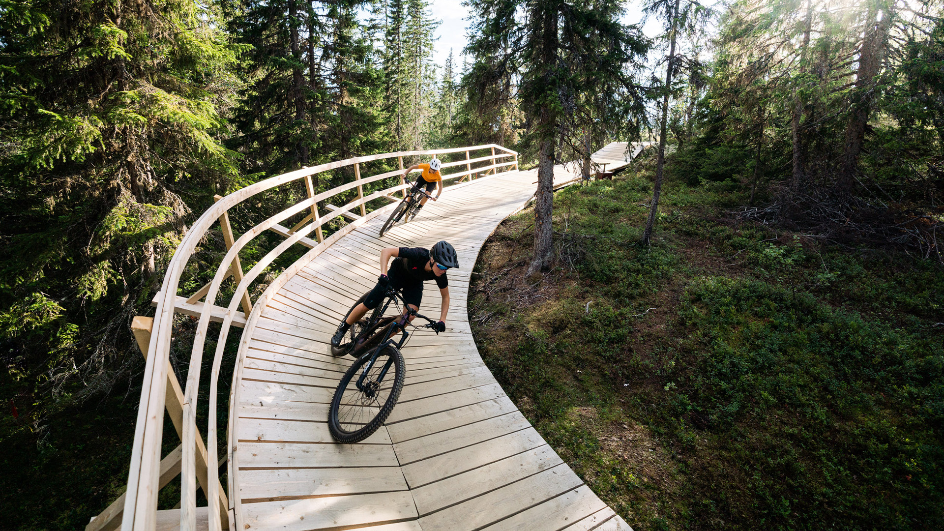 Flow trail - cycling with a great flow that suits everyone