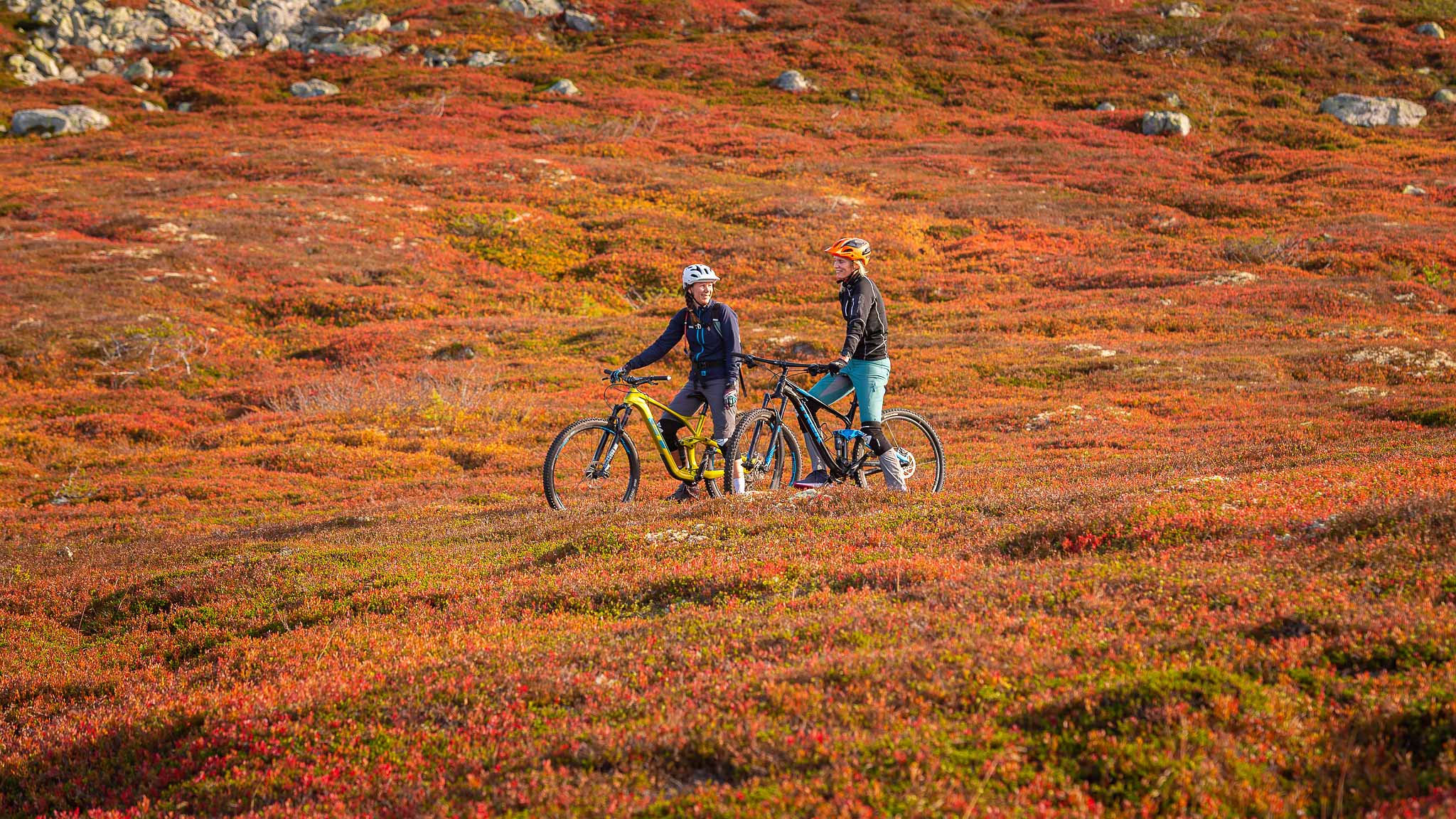 Høstferie 2025 – Bestill reise til høsten på fjellet